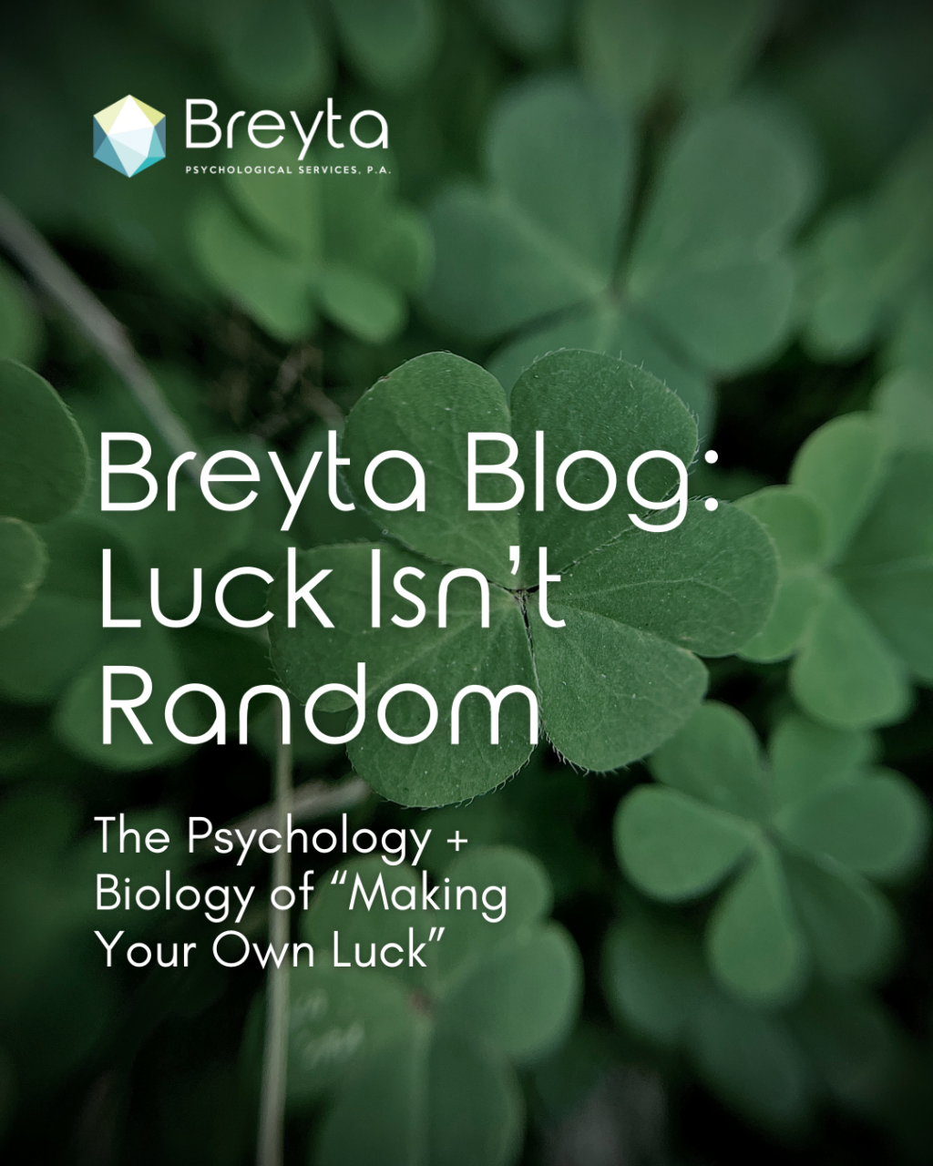 Green clover leaves symbolizing how we perceive and create luck through mindset, perception, and openness to opportunity